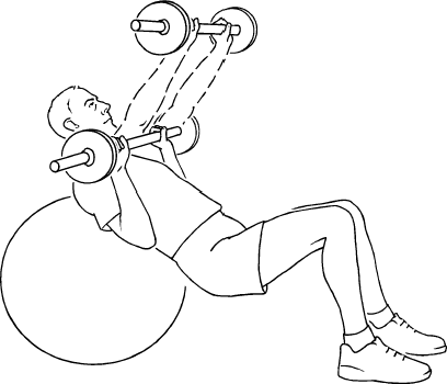 Incline Barbell Bench Press Exercise Ball Active